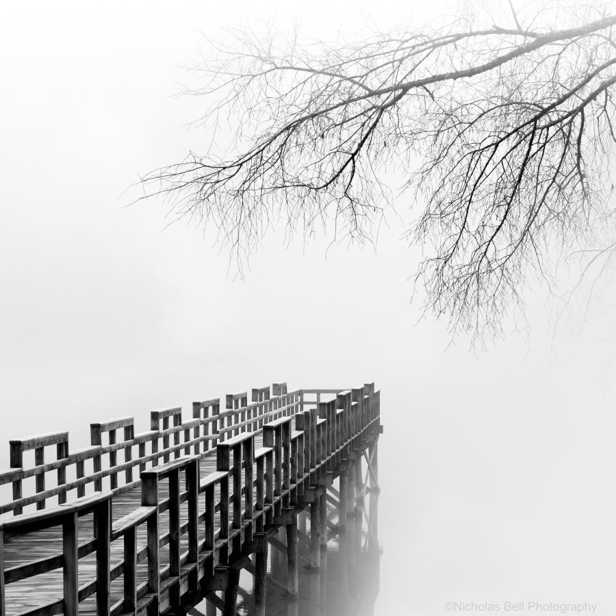 black and white lake photography