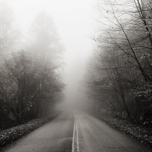 sepia landscape print, foggy road in Fall