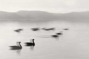 lake photography, lake house art, Nicholas Bell