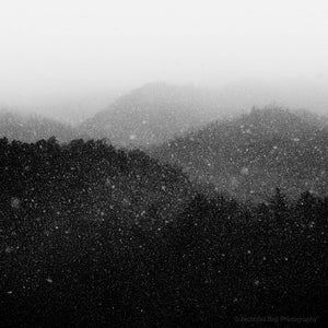 black and white fine art photography, landscape