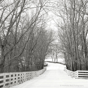 black and white photography prints, country road, winter