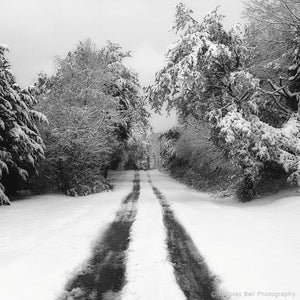 black and white winter landscape print