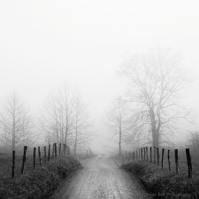 black and white photography print, Cades Cove