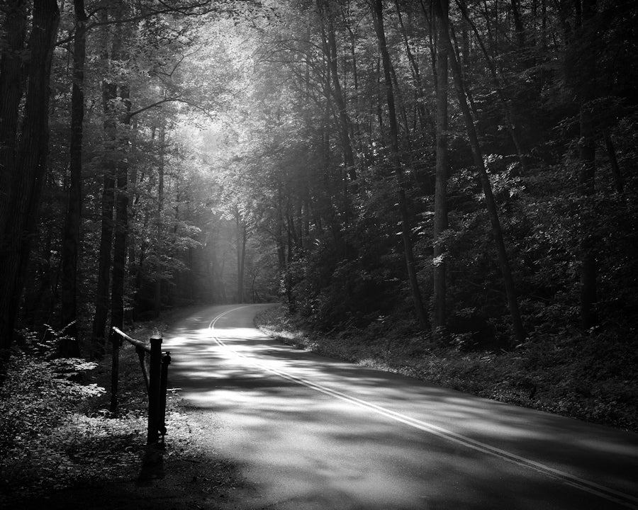Tremont Road, Smoky Mountains