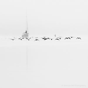 black and white sailboat prints