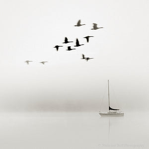 black and white sailboat prints