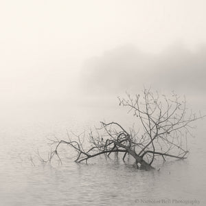 lake photography prints