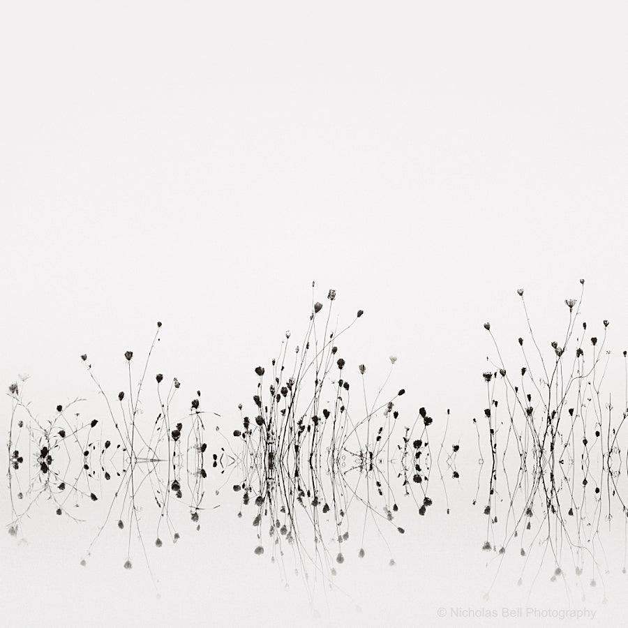minimalist black and white photography prints
