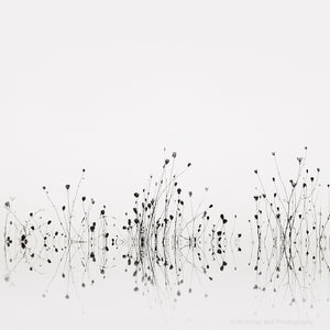 minimalist black and white photography prints