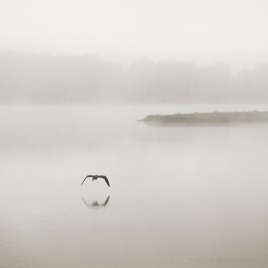 minimalist black and white photography, lake house art