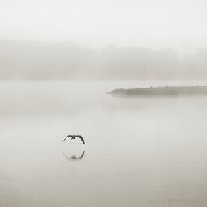 minimalist black and white photography, lake house art