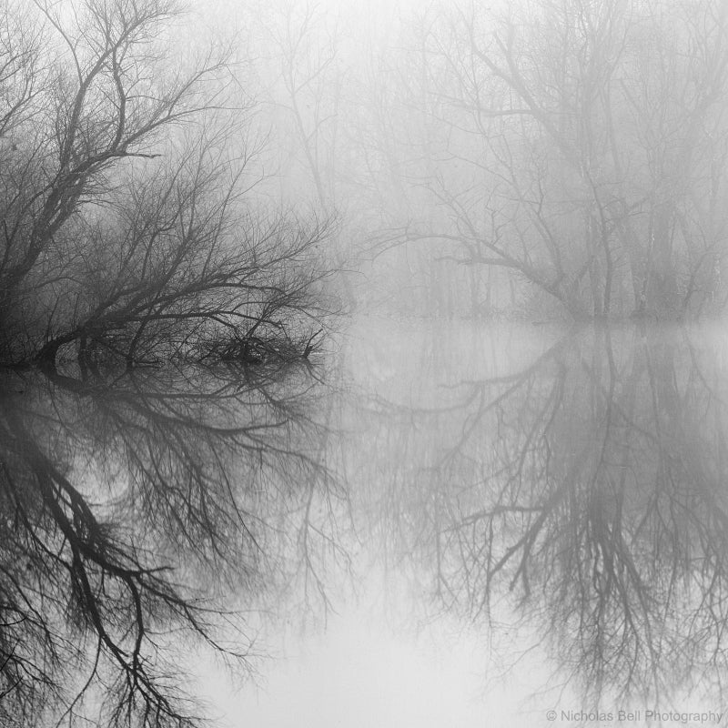black and white lake photography print, Nicholas Bell