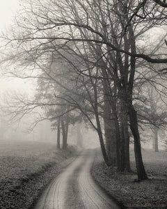 country road photography print